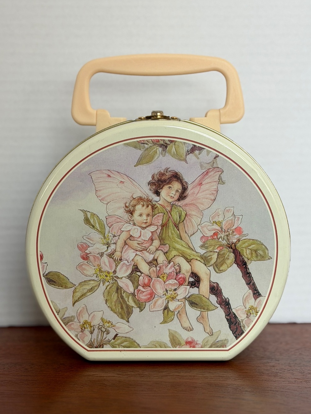 Vintage 2001 Flower Fairies Metal Tin Carrying Case